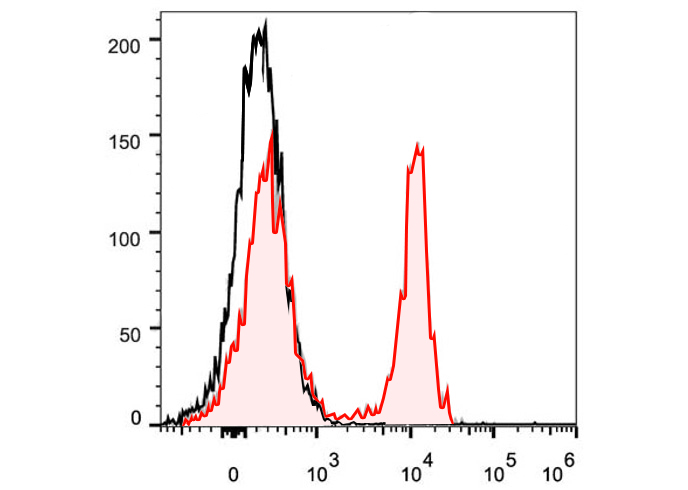 PerCP-Cy5.5 Anti-Mouse CD19(1D