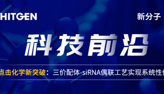 科技前沿 | 点击化学新突破：三价配体-siRNA偶联工艺实现系统性优化