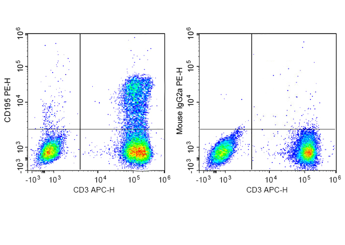 PE Anti-Human CD195 Antibody(R