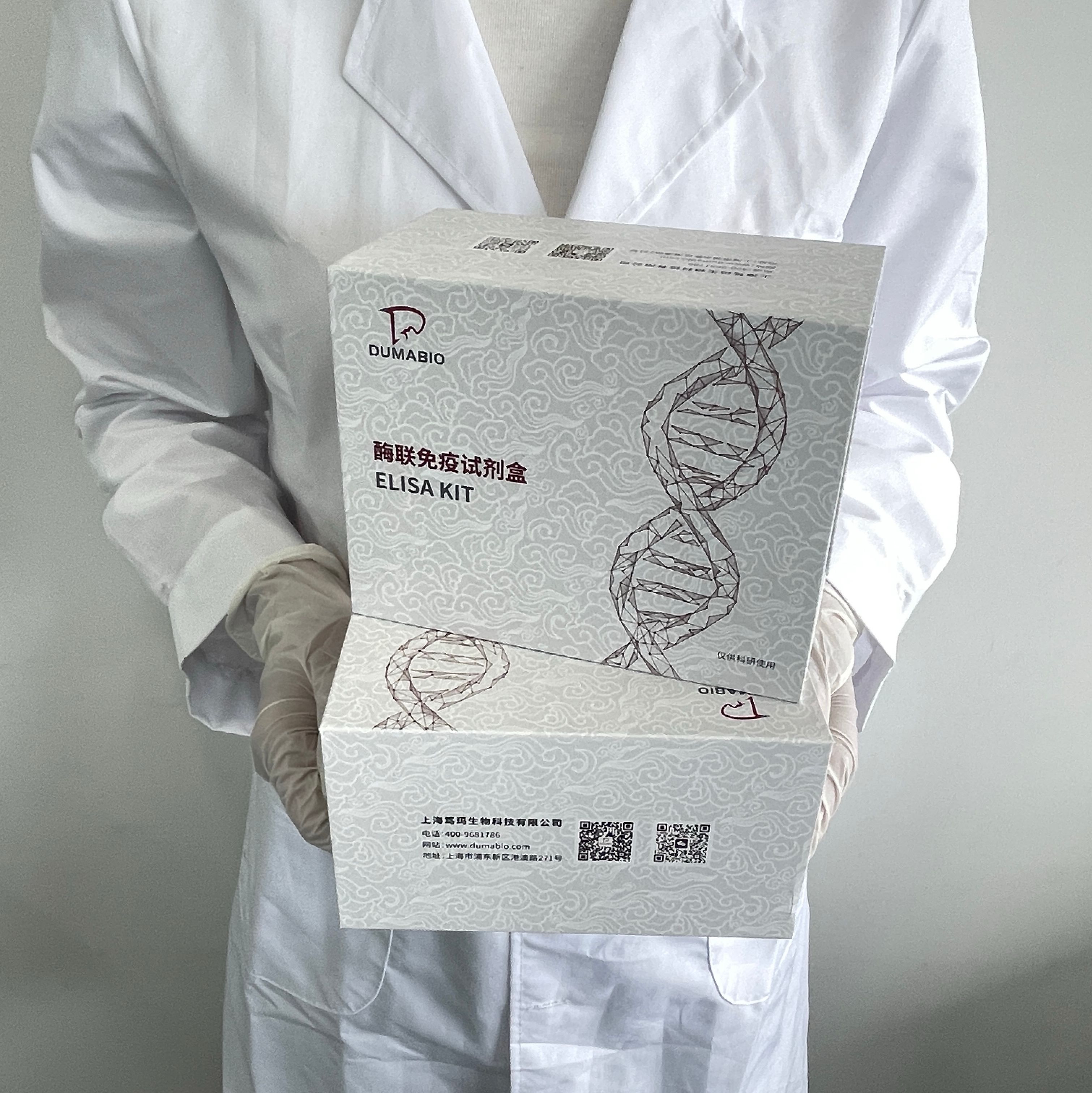 人（Human）胎球蛋白B(FETUB)ELISA检测试剂盒 