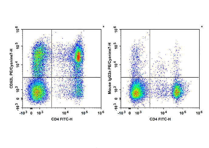 PE-Cy7 Anti-Human CD62L Antibo