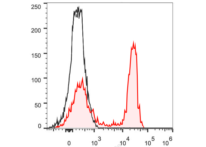 PerCP-Cy5.5 Anti-Mouse CD45R/B