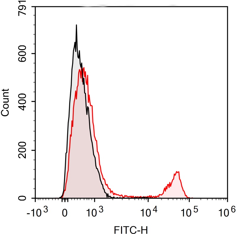 FITC Anti-Mouse CD8a Antibody(