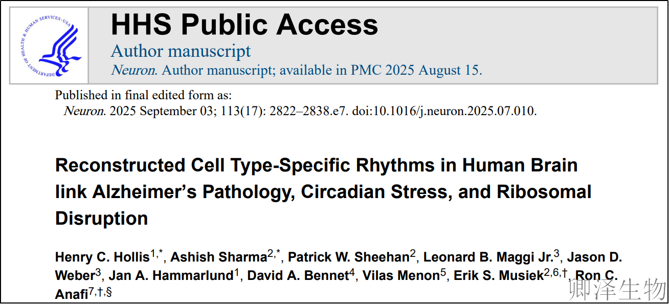 【脑细胞生物钟图谱】 | 生物钟紊乱：阿尔茨海默病背后的“蛋白质工厂”停工危机