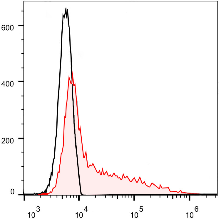 FineTest®Violet 610 Anti-Mouse