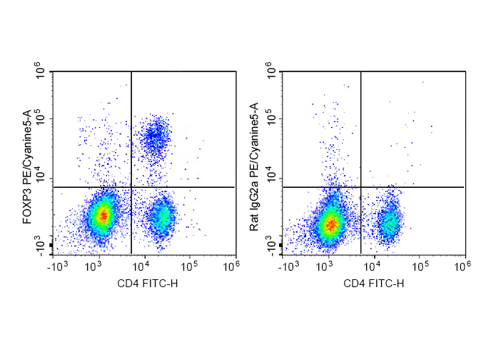 PE-Cy5 Anti-Mouse/Rat Foxp3 An