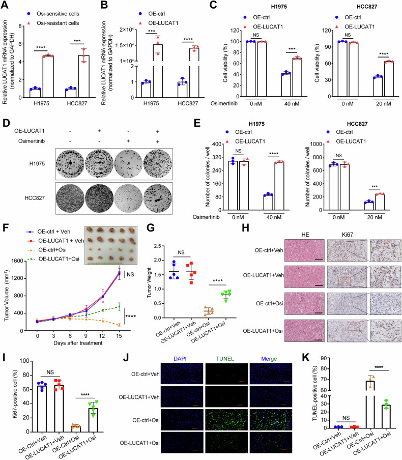QPCR检测 QPCR检测