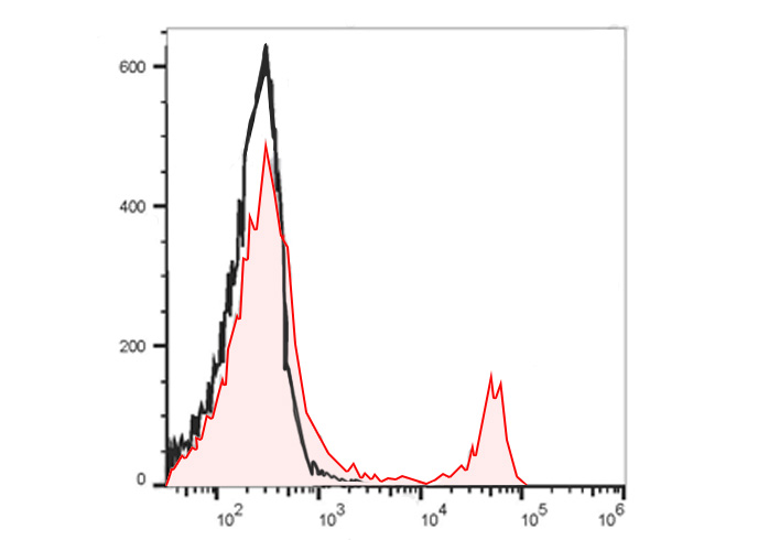 FineTest®700 Anti-Mouse CD8a A