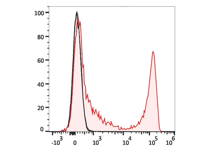 APC Anti-Mouse CD90 Antibody(M