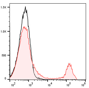 PE-Cy7 Anti-Mouse CD8a Antibod