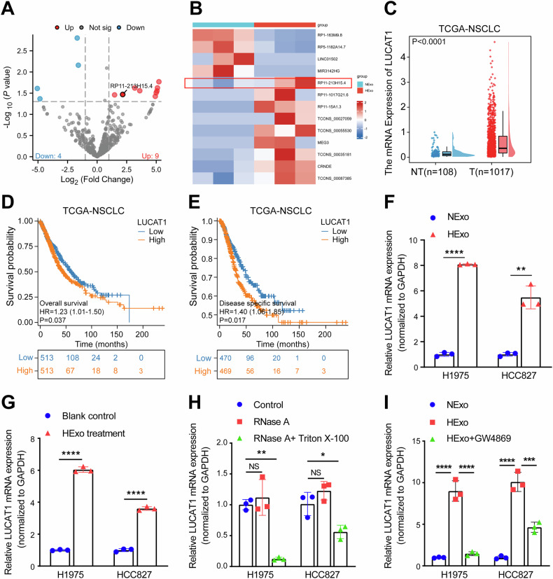 外泌体鉴定 外泌体鉴定