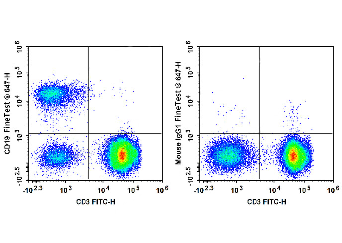 FineTest®647 Anti-Human CD19 A