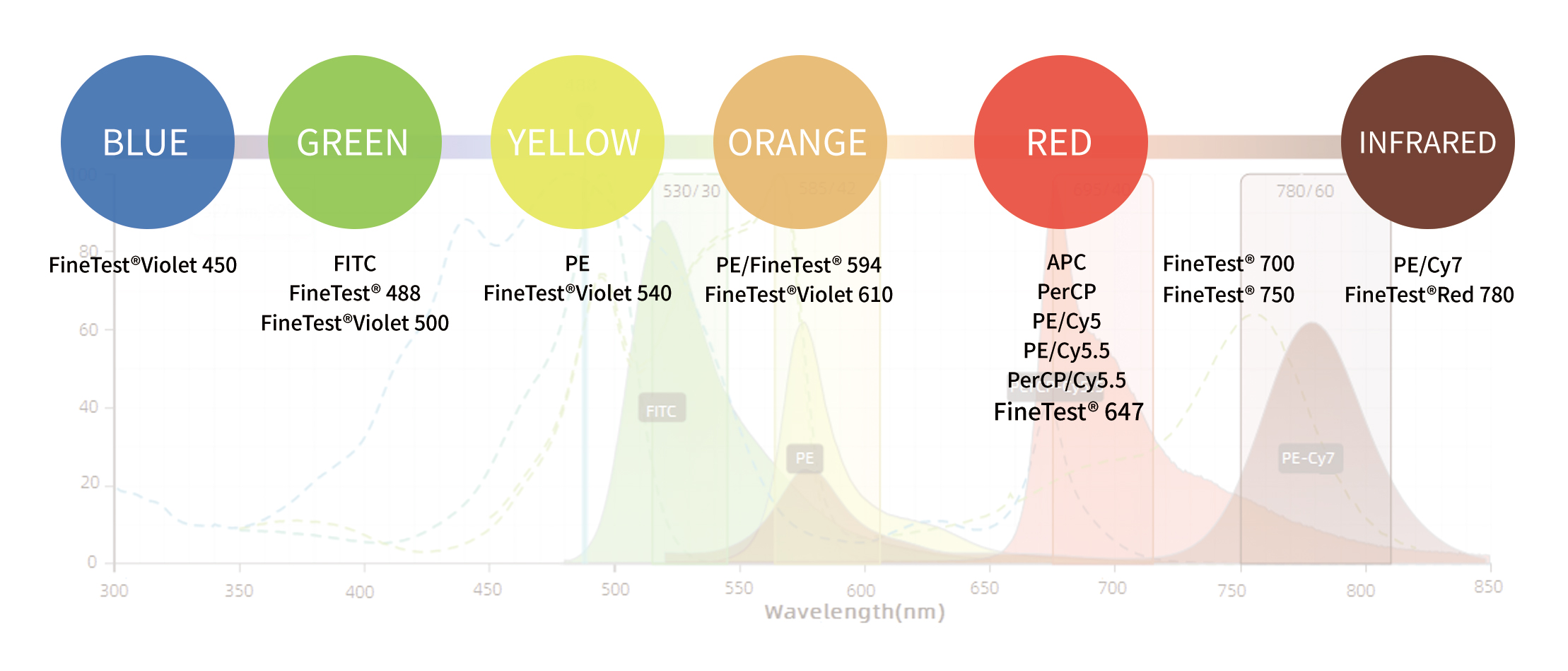 FineTest®700 Anti-Mouse IL-6 A