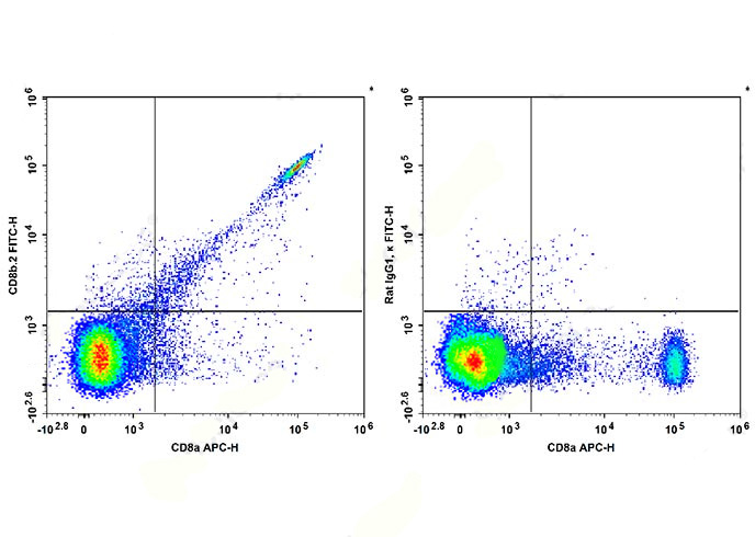FITC Anti-Mouse CD8b.2 Antibod