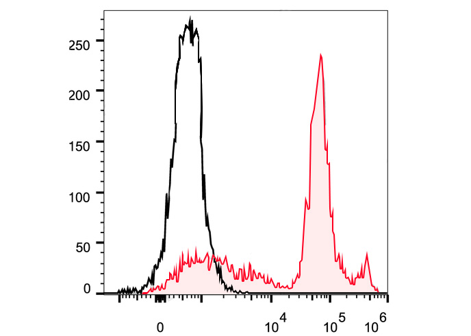 FineTest®488 Anti-Mouse Ly6C A