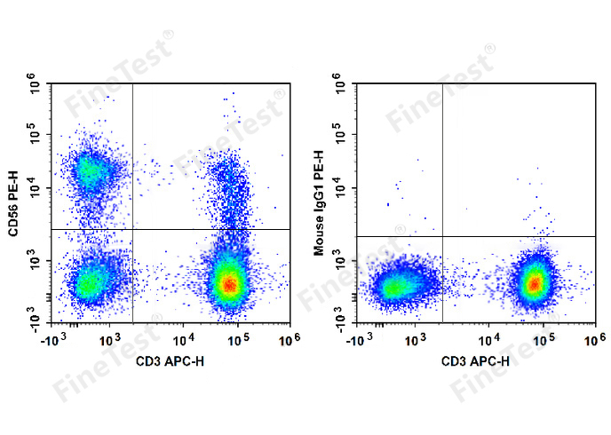 PE Anti-Human CD56 (B-A19)
