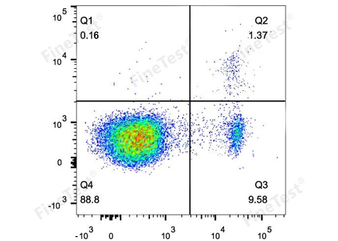 APC Anti-Mouse Foxp3 Antibody(