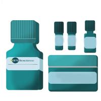 PARP1 比色测定试剂盒