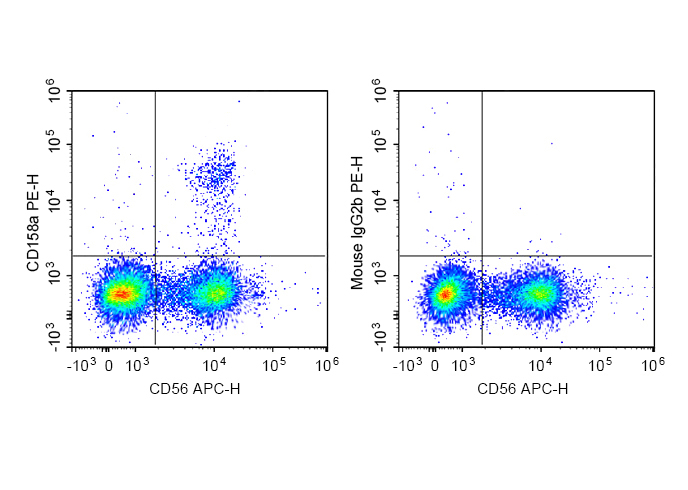 PE Anti-Human CD158/KIR2DL1 An