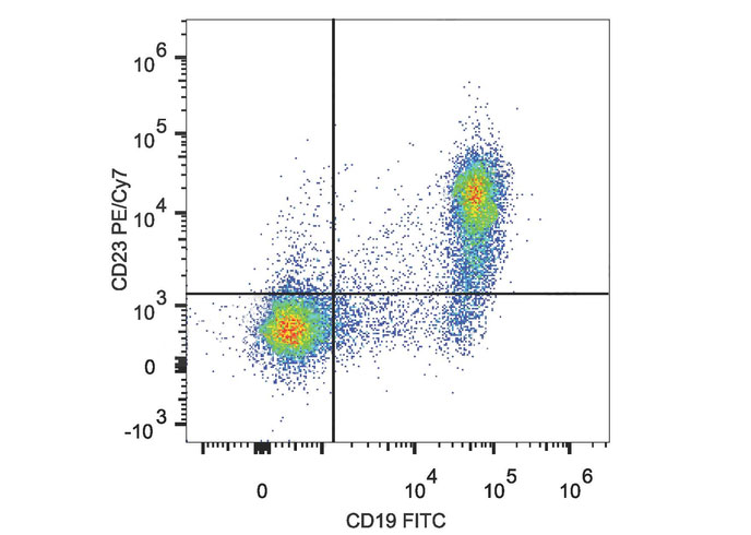 PE-Cy7 Anti-Mouse CD23 Antibod