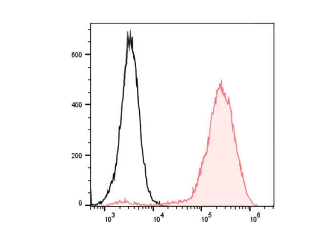 PE Anti-Human CD146 Antibody(P