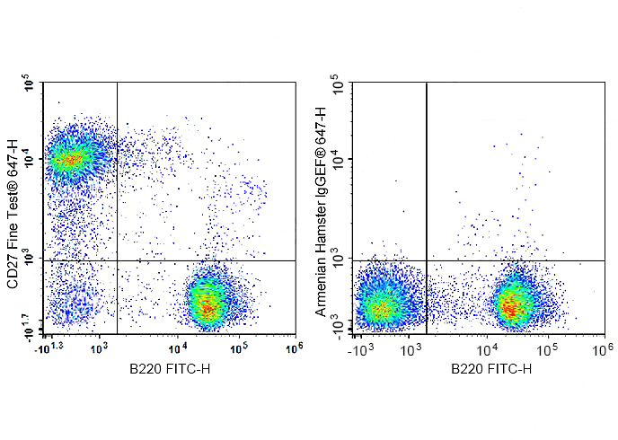 FineTest®647 Anti-Mouse CD27 A