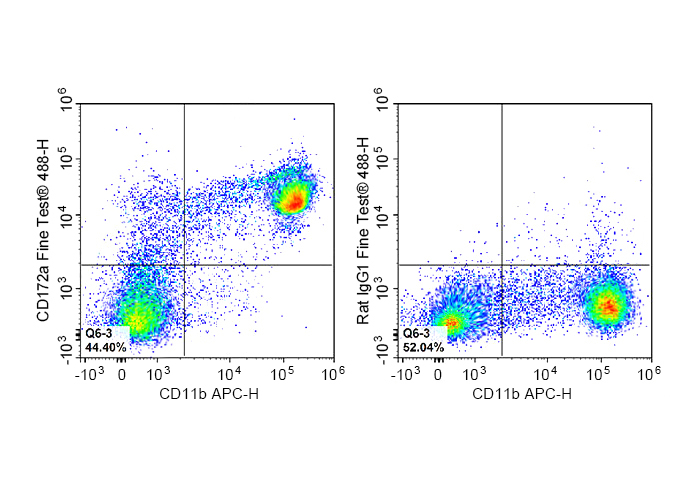FineTest®488 Anti-Mouse CD172a
