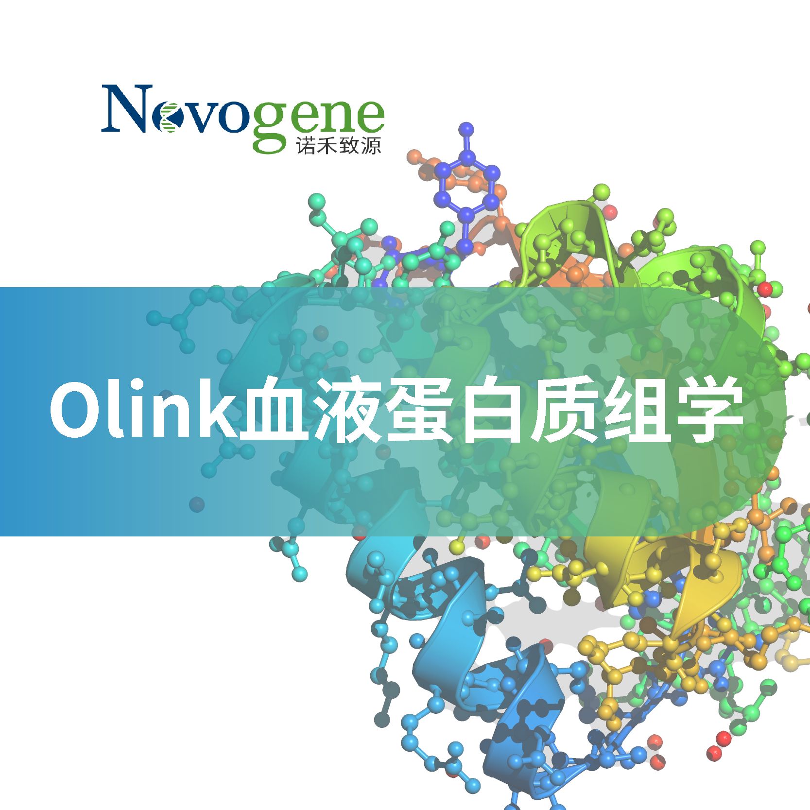 Olink血液蛋白质组学