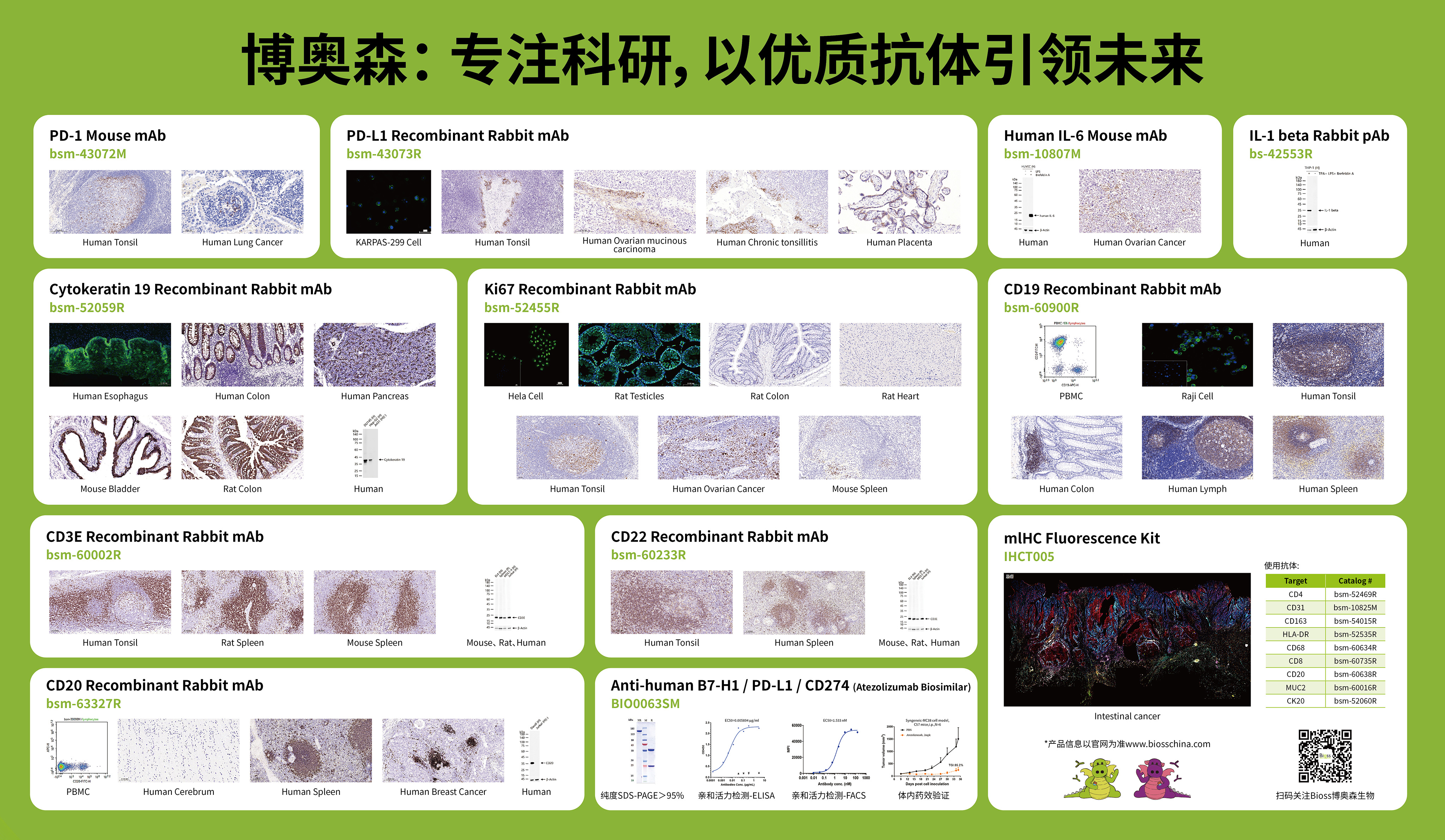 展会回顾 | 博奥森精彩亮相第十七届全国免疫学学术大会