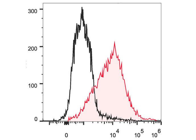 PE-Cy7 Anti-Mouse CD54 Antibod