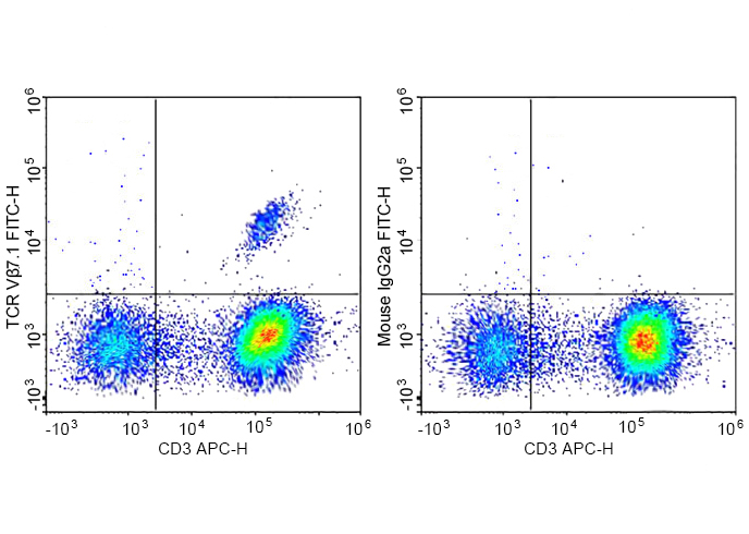 FITC Anti-Human TCR Vβ7.1 Anti