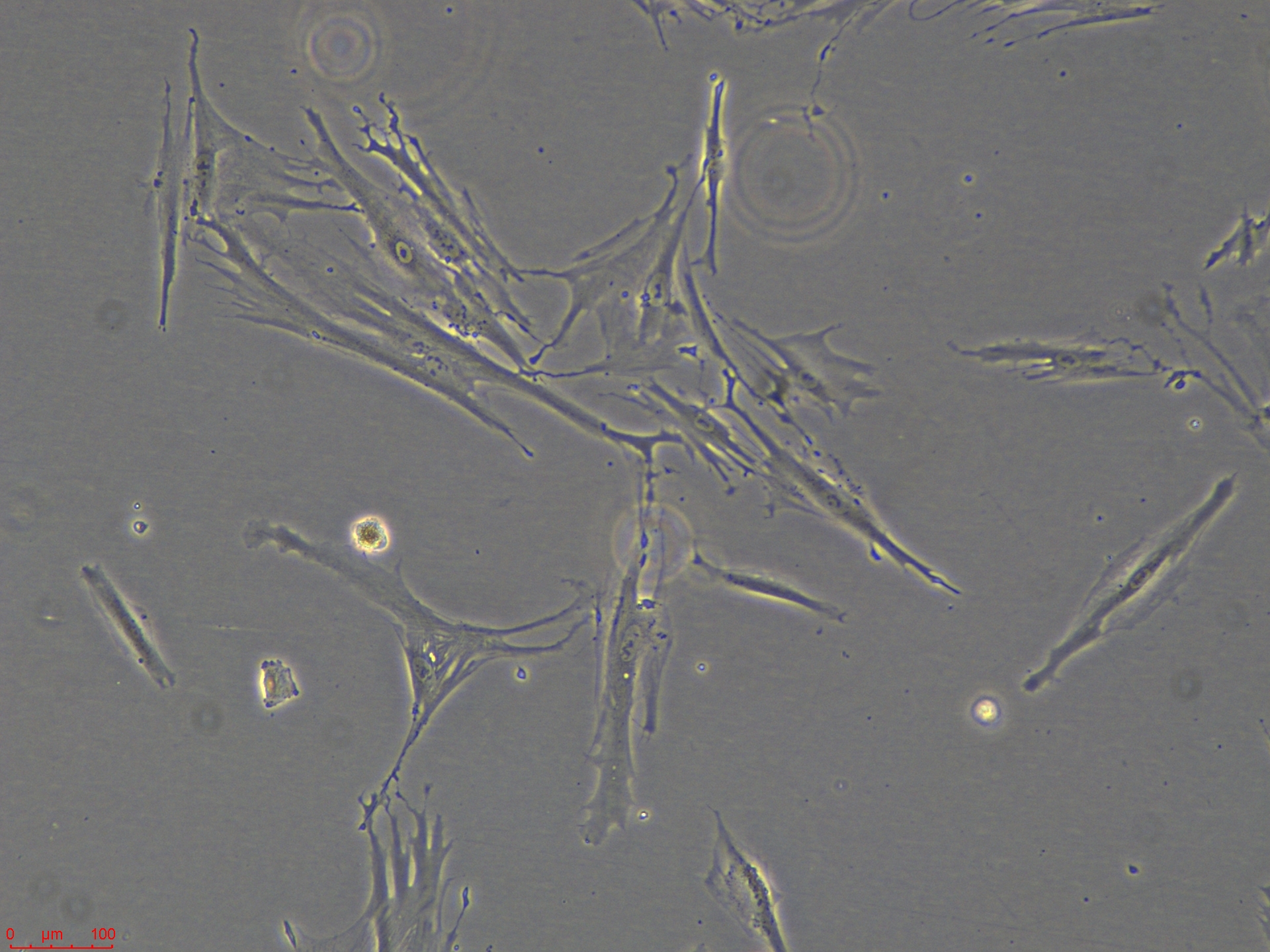 Project_CAF05_ch00 (2).jpg