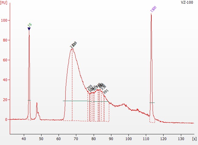 染色质可及性/开放性的试剂盒 Hyperactive ATA