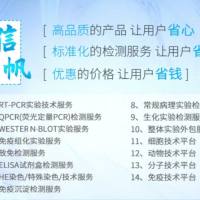 5×SDS-PAGE 非还原性蛋白上样缓冲液(适用于明胶酶谱试剂盒)