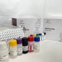 贝类(Shellfish)5羟色胺(5-HT)ELISA检测试剂盒