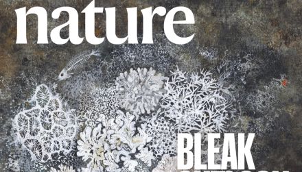 自免病研究的新方向：感染原模拟表位的鉴定策略