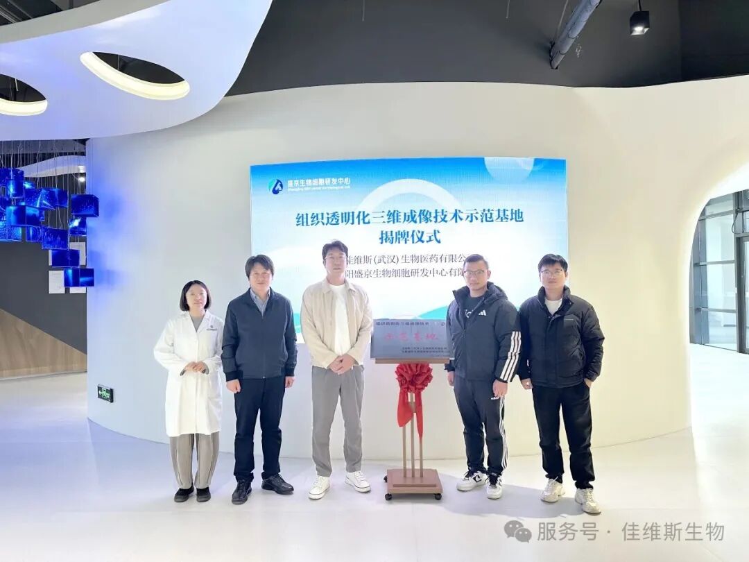 佳维斯携手盛京生物共建组织透明化三维成像技术示范基地聚势创新，共绘生物医学新蓝图