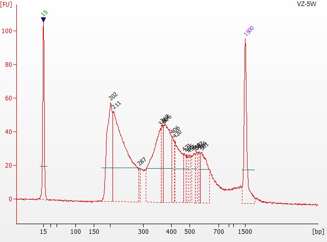 染色质可及性/开放性的试剂盒 Hyperactive ATA