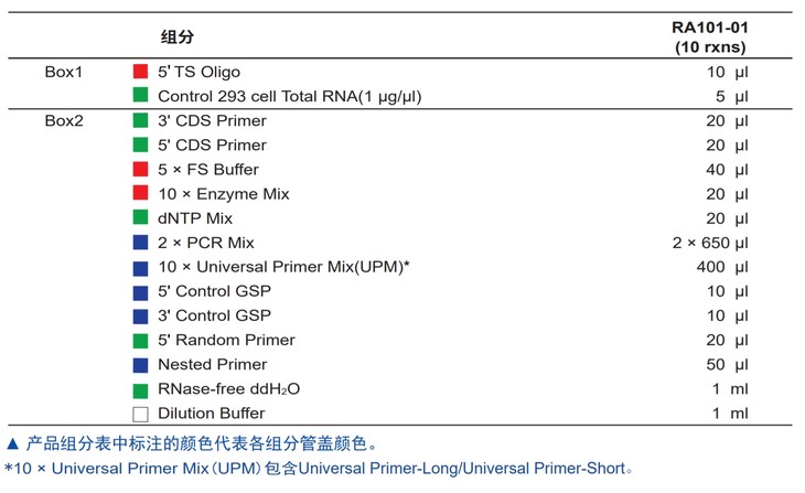 HiScript-TS 5'/3' RACE Kit (5’