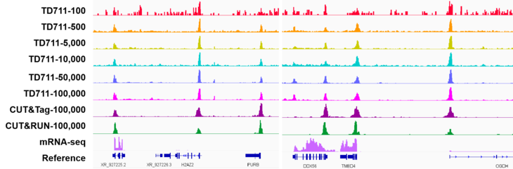 染色质可及性/开放性的试剂盒 Hyperactive ATA