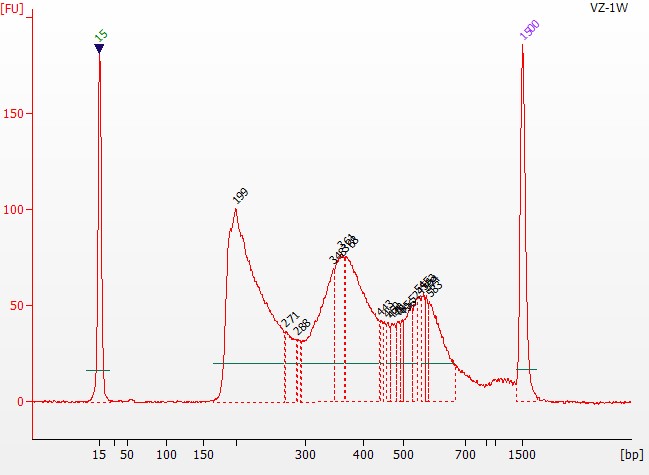 染色质可及性/开放性的试剂盒 Hyperactive ATA