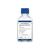 巴罗克-电泳缓冲液