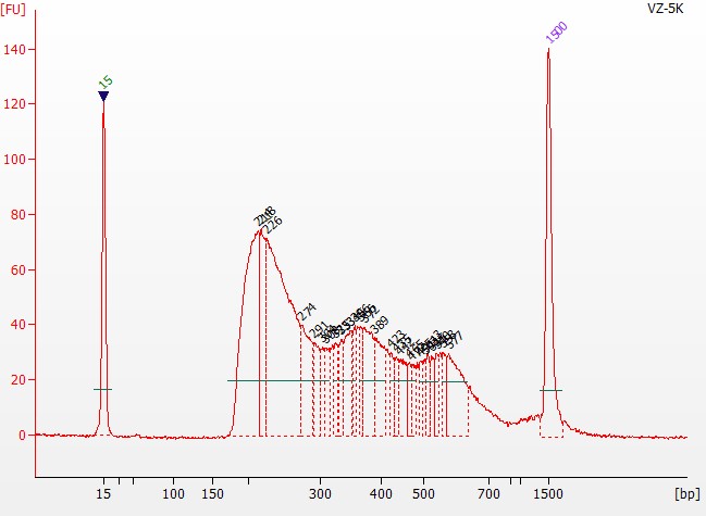 染色质可及性/开放性的试剂盒 Hyperactive ATA