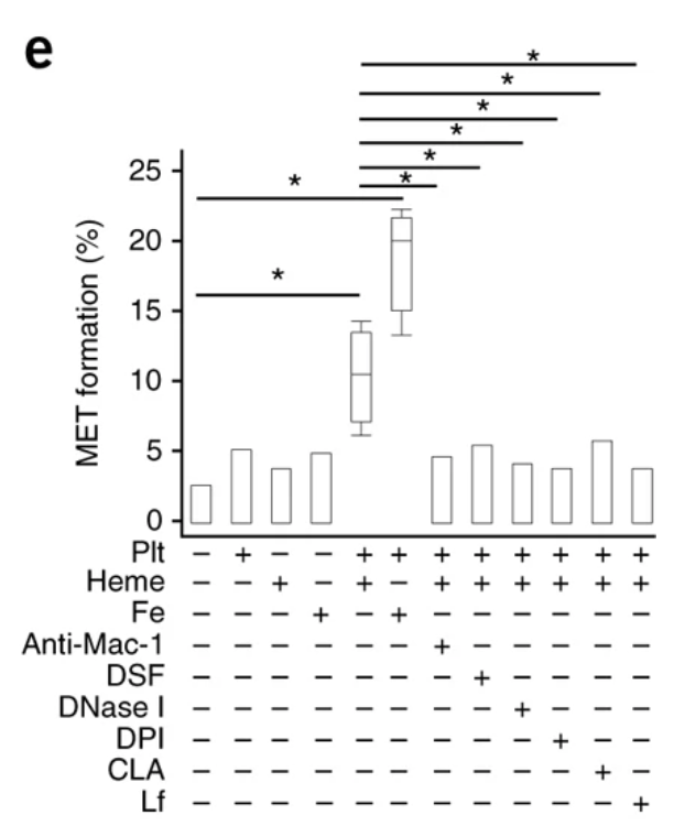 潜在治疗策略 潜在治疗策略
