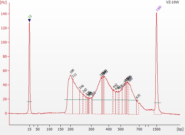 染色质可及性/开放性的试剂盒 Hyperactive ATA