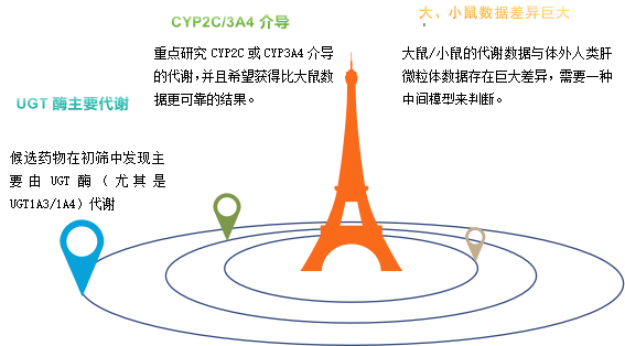 兔微粒体 3.png 兔微粒体 3.png