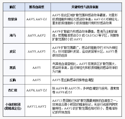 新闻图片8