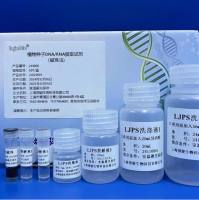 植物种子DNA/RNA提取试剂（磁珠法）