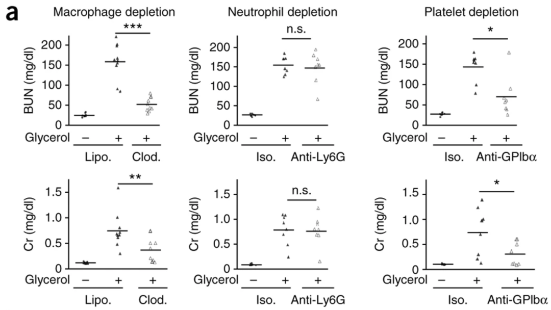 细胞类型耗竭实验.png 细胞类型耗竭实验.png