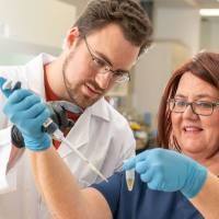 猪红细胞钙蛋白酶-1